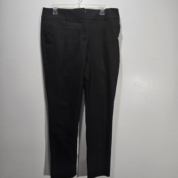 Ann Taylor LOFT Fall Pants Bundle (2) Size 10 - Picture 5 of 11